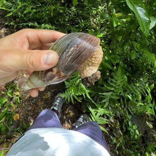 Šneky tu mají o něco větší než u nás :-)