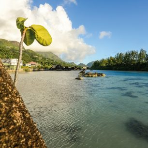 V úzkém kanále s mangrovníky si budete připadat jako v divočině