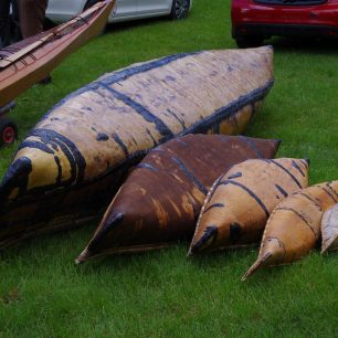 Rodina březových kanoe, dospělá, dětská a modely