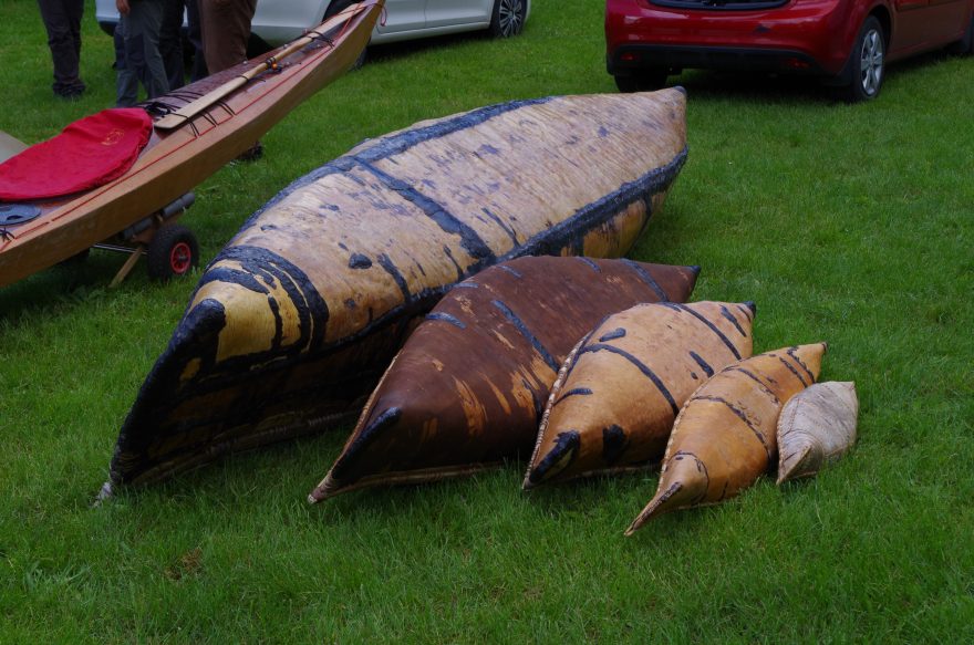 Rodina březových kanoe, dospělá, dětská a modely