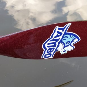 Záběrová strana listu