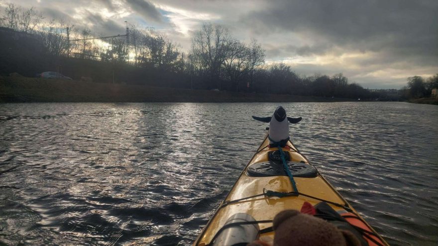 Když dost foukalo, tak i tučňáček zvedal křidélka.