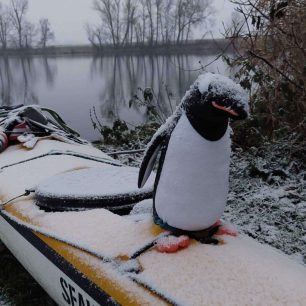 Konečně zimní seakayaking