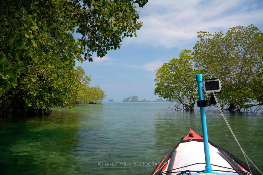V mangrovovém lese ostrova Ko Libong.