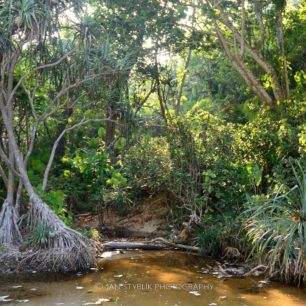 Vnitrozemí ostrovů je z velké části téměř nedotčené.