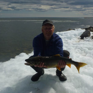 Nejlépe pstruh bere přesně na hraně ledových ker. Pak je to až příliš snadné. Co hod, to kus.
