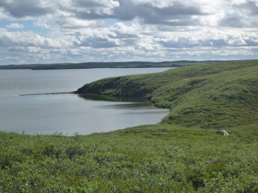 V Eskimo Lakes je obtížné nalézt místo na kempování. V této zeleni to byl moskytí ráj.