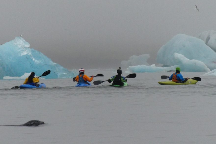 Výlet za tuleni na laguně Jökulsárlón.