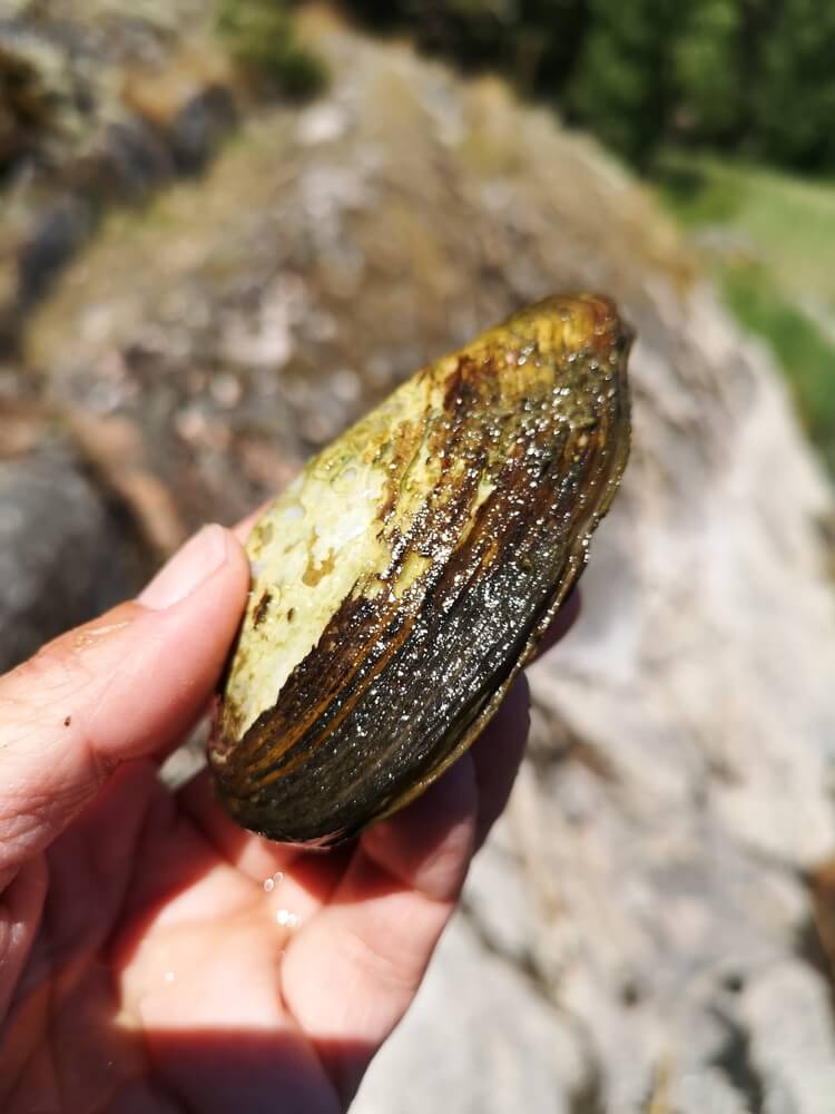 K vaření slávek jsem odvahu nesebrala.