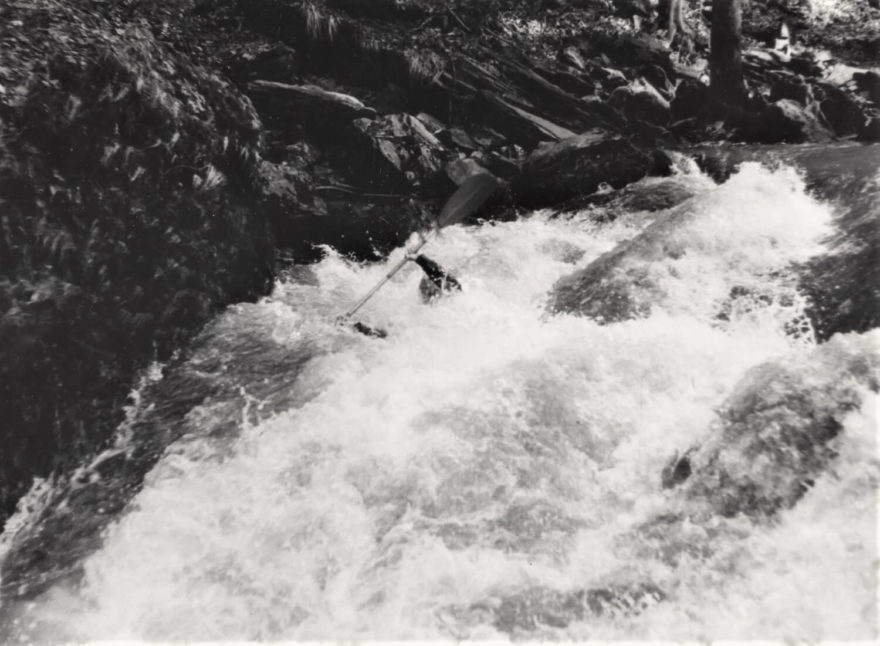 Kamenice sjezd. Soutěska pod Návarovem. P: Choroš