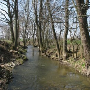 Kolem Šumvaldských rybníků protéka řeka stromovou alejí.