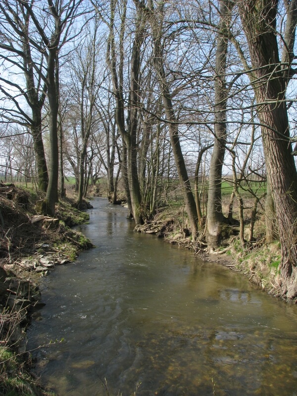 Kolem Šumvaldských rybníků protéka řeka stromovou alejí.