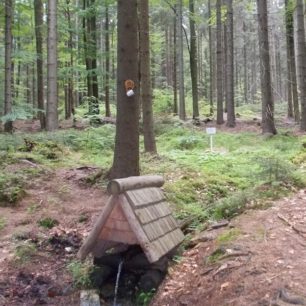 Pramen Oskavy v sedle Skřítek.