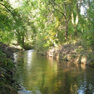 Regulované koryto u hráze rybníka v Dolní Libině.