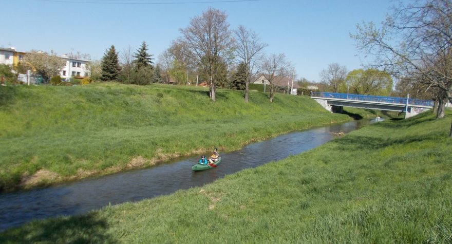 Regulované koryto za mostem Šternberské ulice v Uničově (ř. km 20,9).