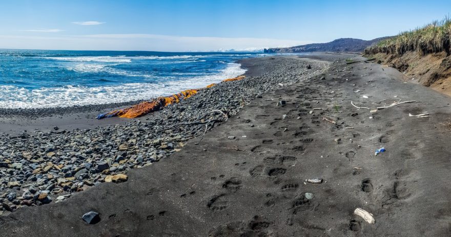 Na pobřeží Tichého oceánu.