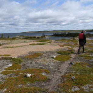 Na pravěkém inuitském tábořišti. V popředí kameny na kotvení týpí.