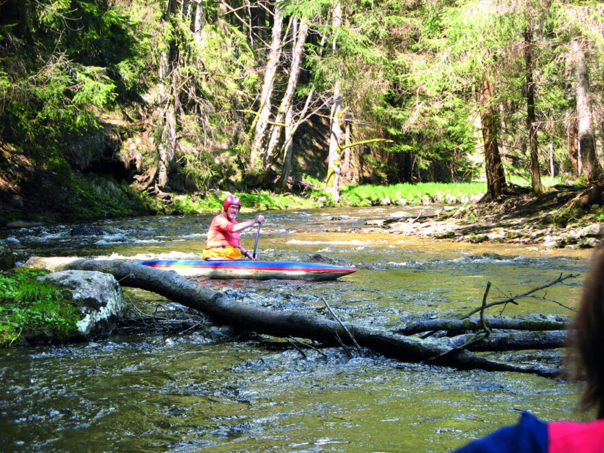 Kličkování na horním toku Divoké Orlice.