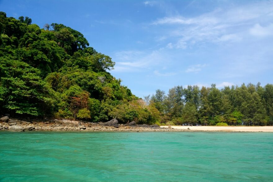 Ostrovy i pevnina jsou převážně porostlé hustou vegetací.