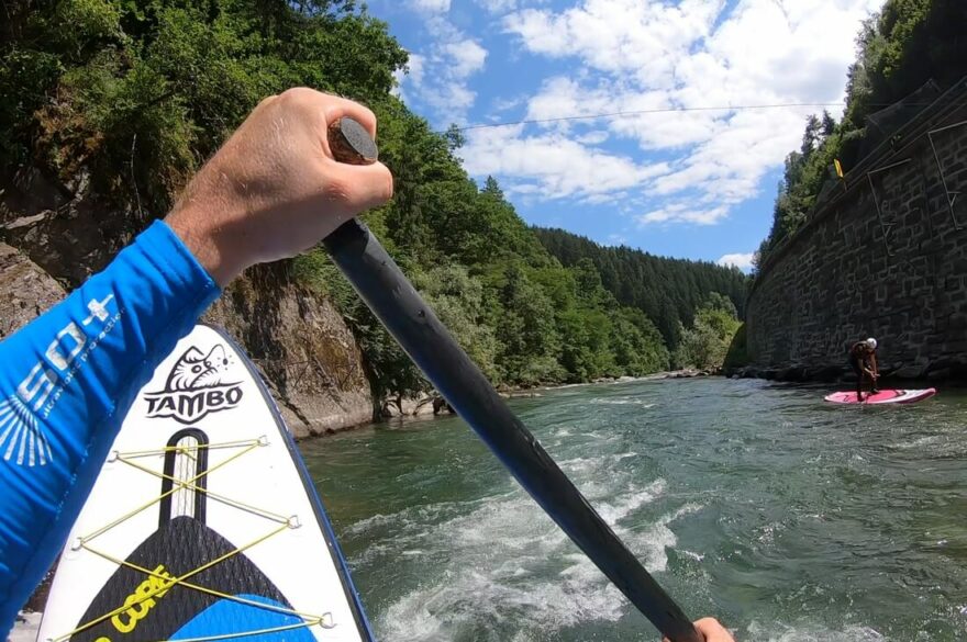 Rotťák ještě umí postavit prkno pěkně na zadní.