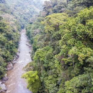 Řeka Samaná mizí do džungle.