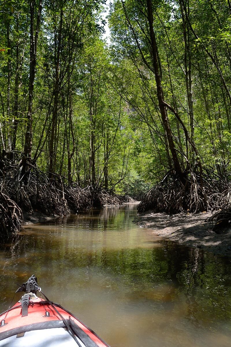 Říčkou v mangrove k dalšímu jeskynnímu tunelu ve vápencové skále.
