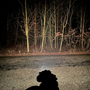 Žluté světlo, široký kužel, nejvyšší intenzita, stromky jsou vzdálené 9 metrů.