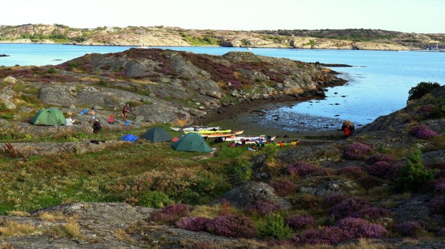 Večer na Risholmenu.