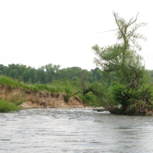Nysa v blízkosti obce Suszka.