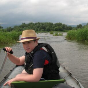 Plochu jezera na Pilcích z velké části pokrývá porost rákosu, místy se zdvihají malé ostrůvky.