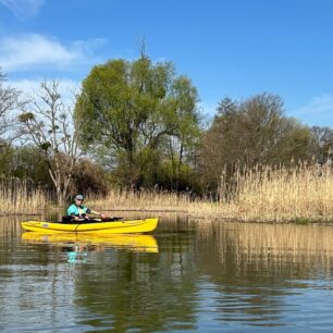 Chvílemi se zdá, že Olava končí, ale potom se vždycky nějaká cesta skrz rákosí najde.