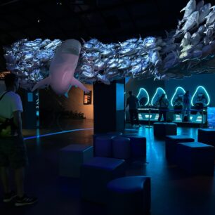 Vzdělávací centrum Hydropolis nás uchvátilo.