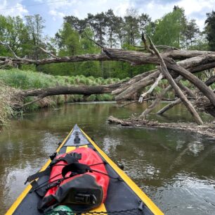 Stromy v řece jsou běžnou záležitostí. Většinou je ale prořezaná cesta skrz. / F: Petr Snížek