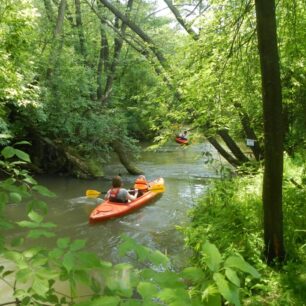 Na většině řek si člověk připadá jako někde v džungli. Zde řeka Biała Przemsza. / F: przemsza.pl