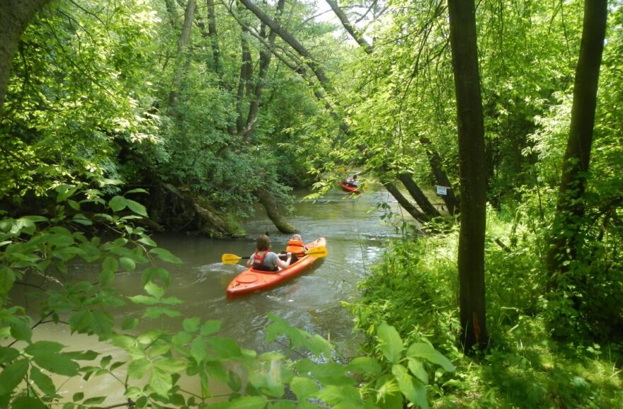 Na většině řek si člověk připadá jako někde v džungli. Zde řeka Biała Przemsza. / F: przemsza.pl