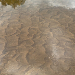 Čistá voda a krásné písečné dno. Typický obrázek na mnoha polských řekách. / F: Petr Snížek