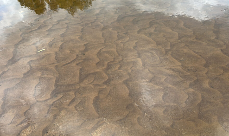 Čistá voda a krásné písečné dno. Typický obrázek na mnoha polských řekách. / F: Petr Snížek