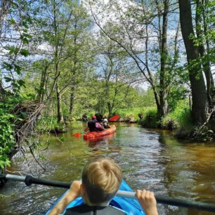 Na horním toku Pilica připomíná spíš potok / F: jestradosc.pl