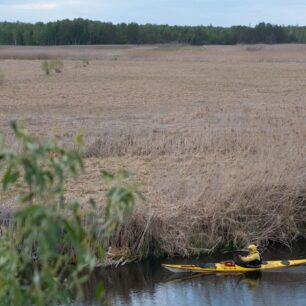 Rákosová džungle a parádní meandry na řece Biebrza.