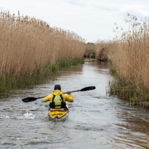 Rákosový tunel na řece Biebrza.