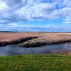 Parádní místo na kempování na řece Biebrza.