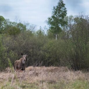 Setkání, při kterém se vám zatají dech.