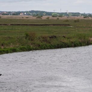 Za chvíli se řeka Narew rozdělí do několika ramen a mně bude ouzko.