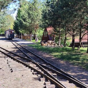 Historická úzkokolejka na své cestě lesem. Nostalgická jízda zpátky v čase.