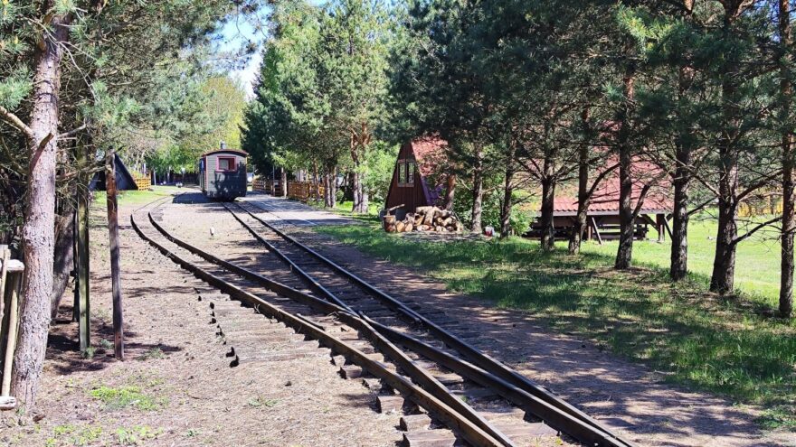 Historická úzkokolejka na své cestě lesem. Nostalgická jízda zpátky v čase.