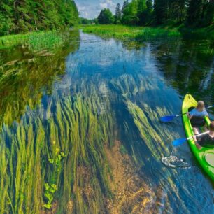 Řeka Czarna Hańcza nabízí neskutečně čistou vodu. / F: Polská turistická organizace