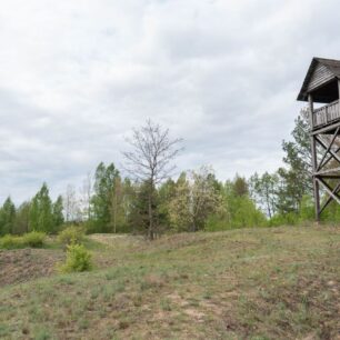 Kolem řek je dostatek pozorovacích věží, které slouží nejenom turistům, ale i ornitologům.