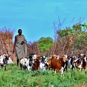 Domorodé kmeny na spodním toku řeky Omo žijí skoro jako v pravěku.