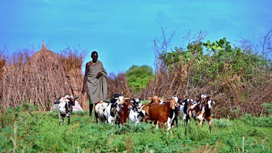 Domorodé kmeny na spodním toku řeky Omo žijí skoro jako v pravěku.