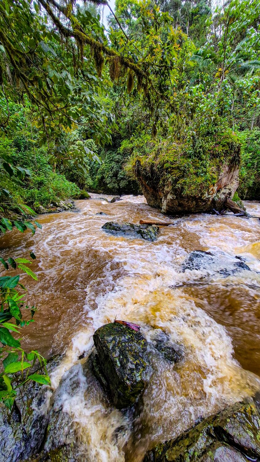 Rozvodněný kaňon řeky Dyntchia.